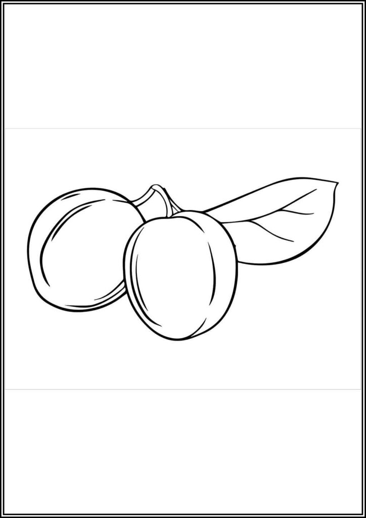 Kolorowanki Śliwka Do Druku Za Darmo W Pdf