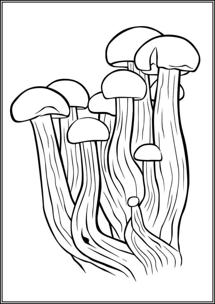 Kolorowanki Grzyb Do Druku Za Darmo W Pdf