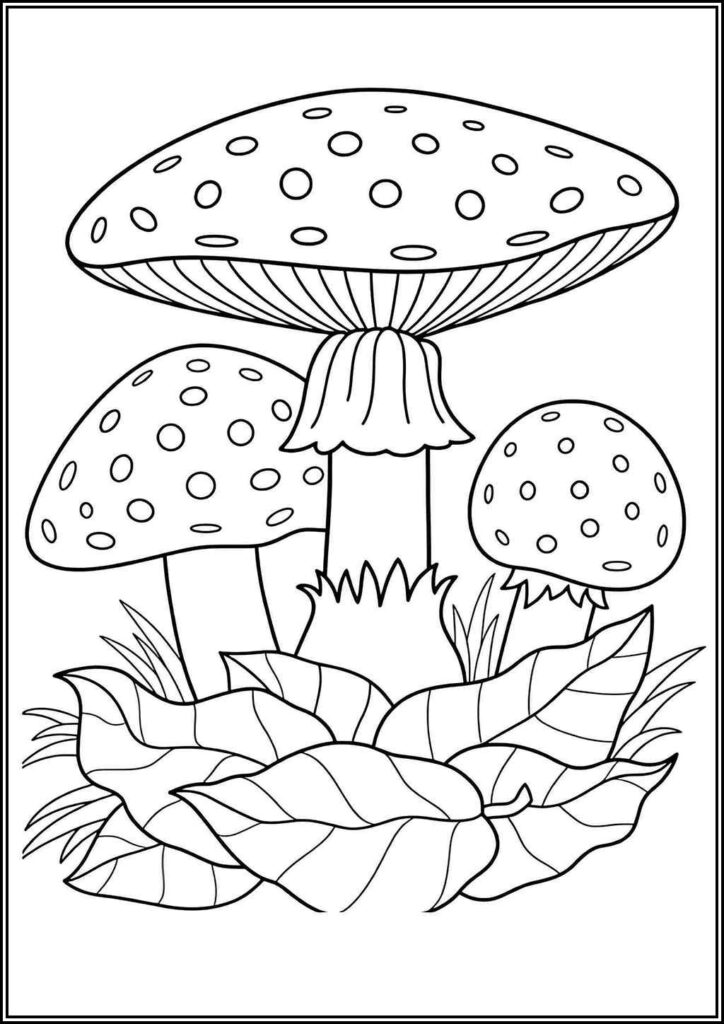 Kolorowanki Grzyb Do Druku Za Darmo W Pdf