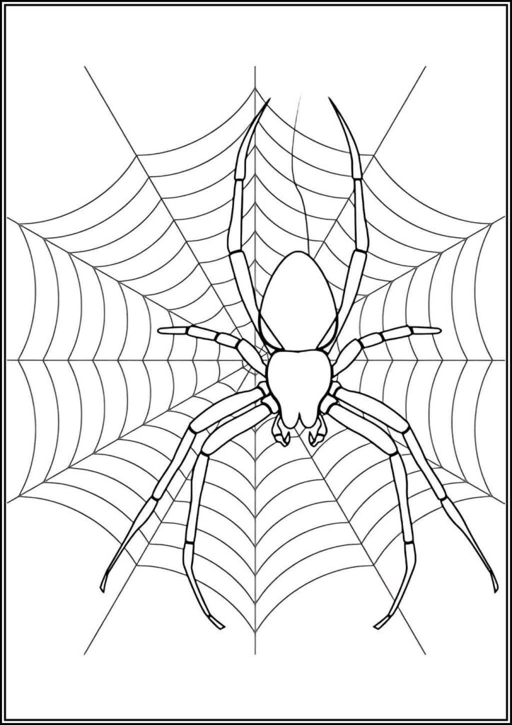 Kolorowanki Pająk Do Druku Za Darmo W Pdf