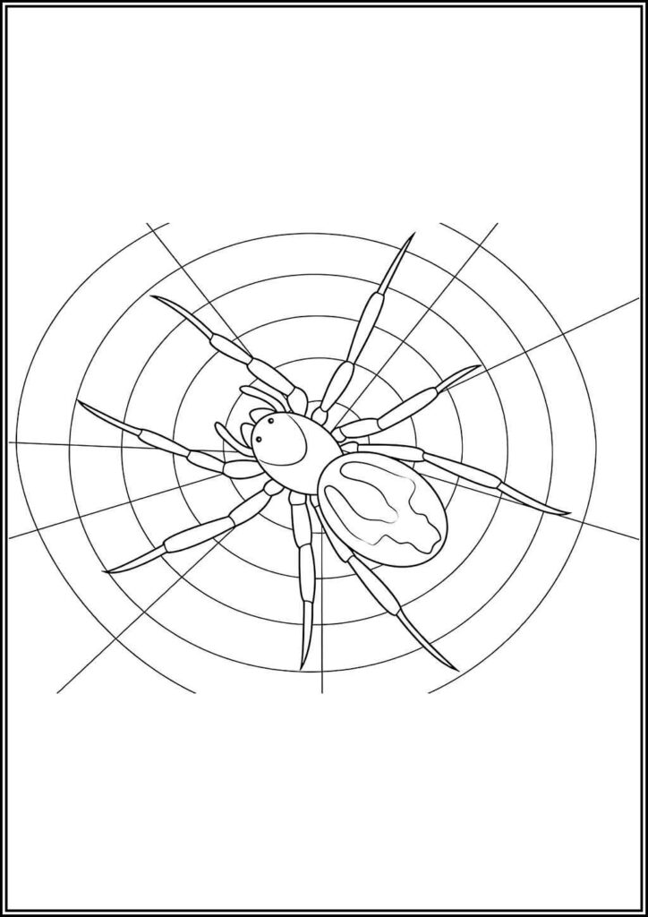 Kolorowanki Pająk Do Druku Za Darmo W Pdf