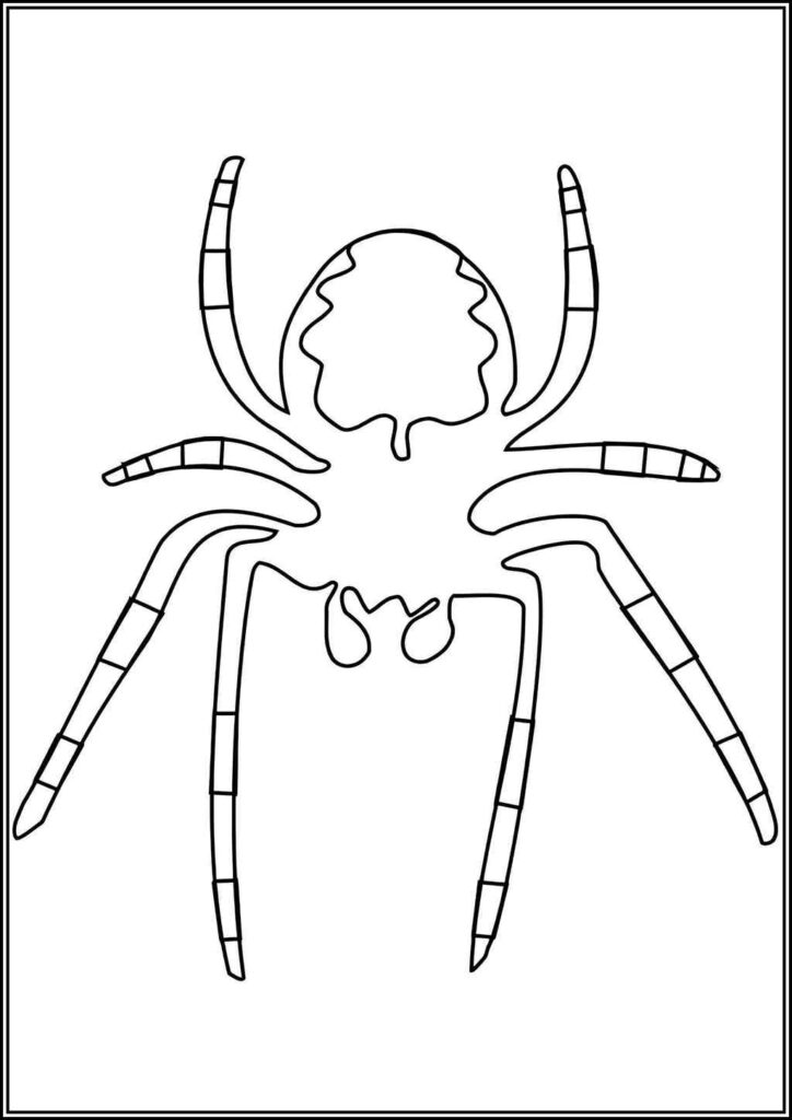 Kolorowanki Pająk Do Druku Za Darmo W Pdf