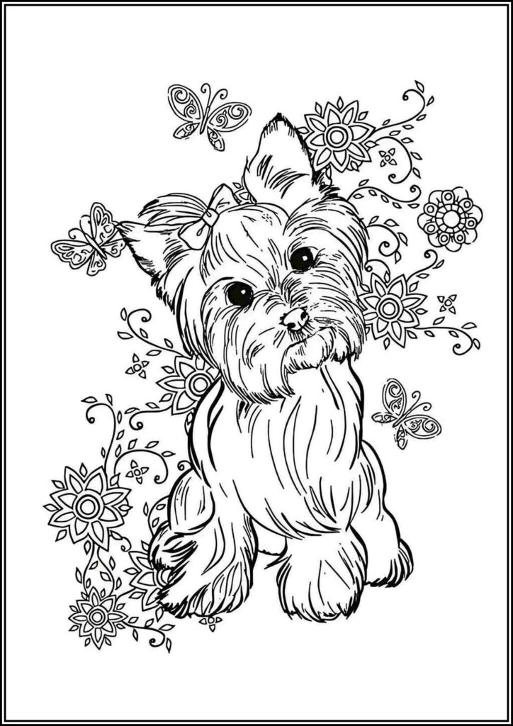 Kolorowanki Yorkshire Terrier Do Druku Za Darmo W Pdf