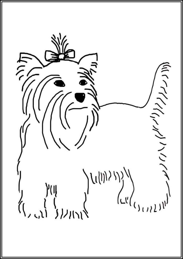 Kolorowanki Yorkshire Terrier Do Druku Za Darmo W Pdf