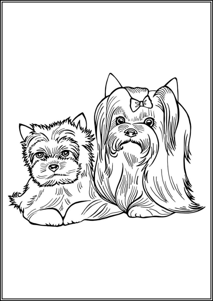 Kolorowanki Yorkshire Terrier Do Druku Za Darmo W Pdf