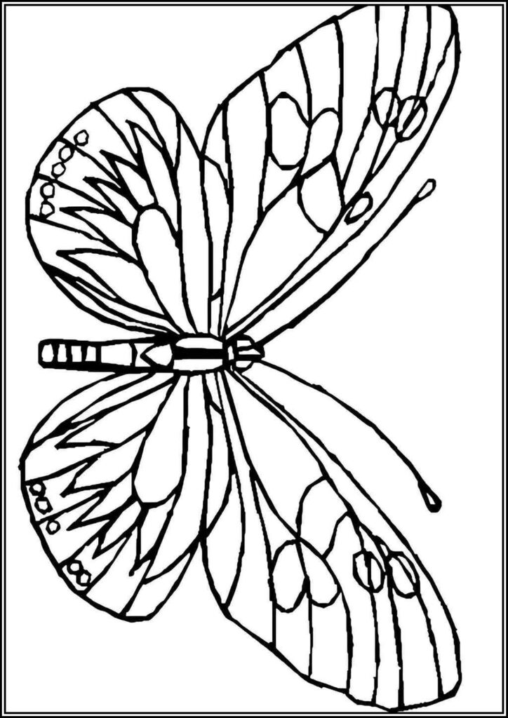 Kolorowanki Motyle Do Druku Za Darmo W Pdf