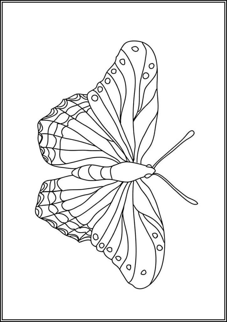 Kolorowanki Motyle Do Druku Za Darmo W Pdf
