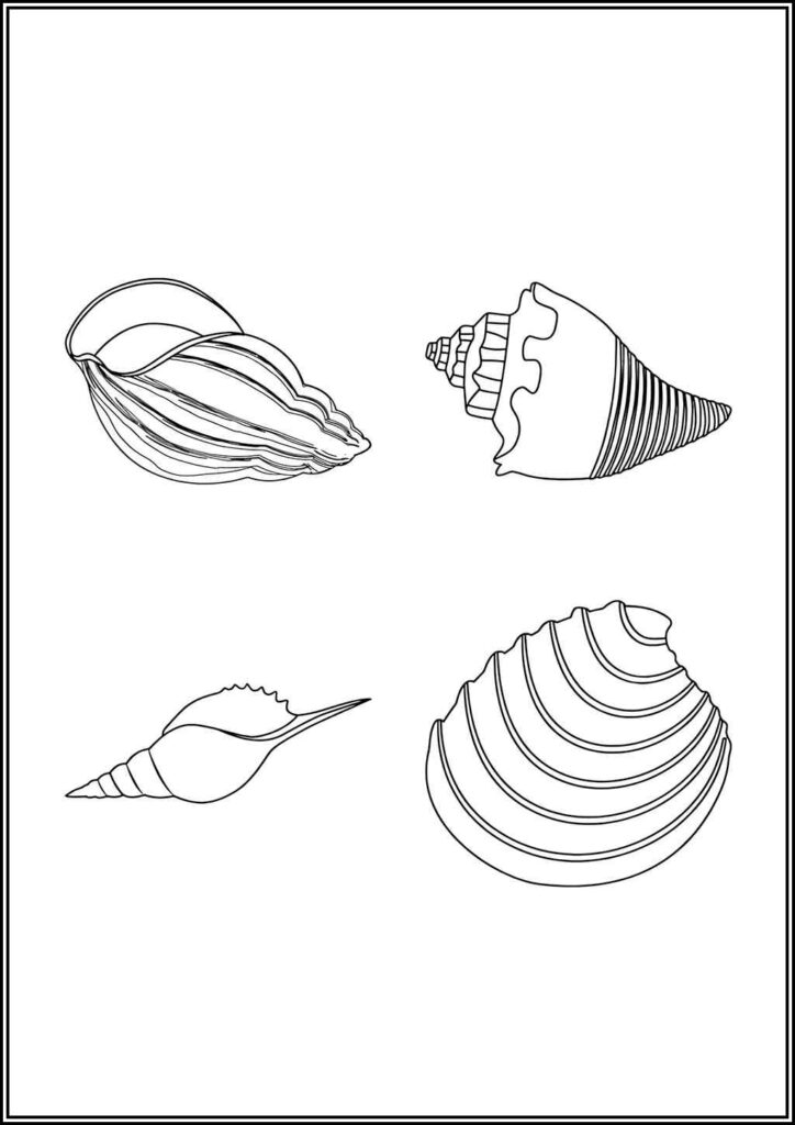 Kolorowanki Muszla Do Druku Za Darmo W Pdf