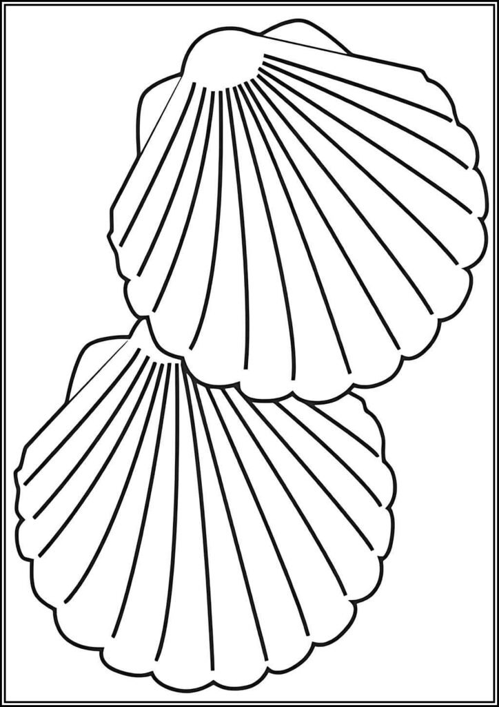 Kolorowanki Muszla Do Druku Za Darmo W Pdf