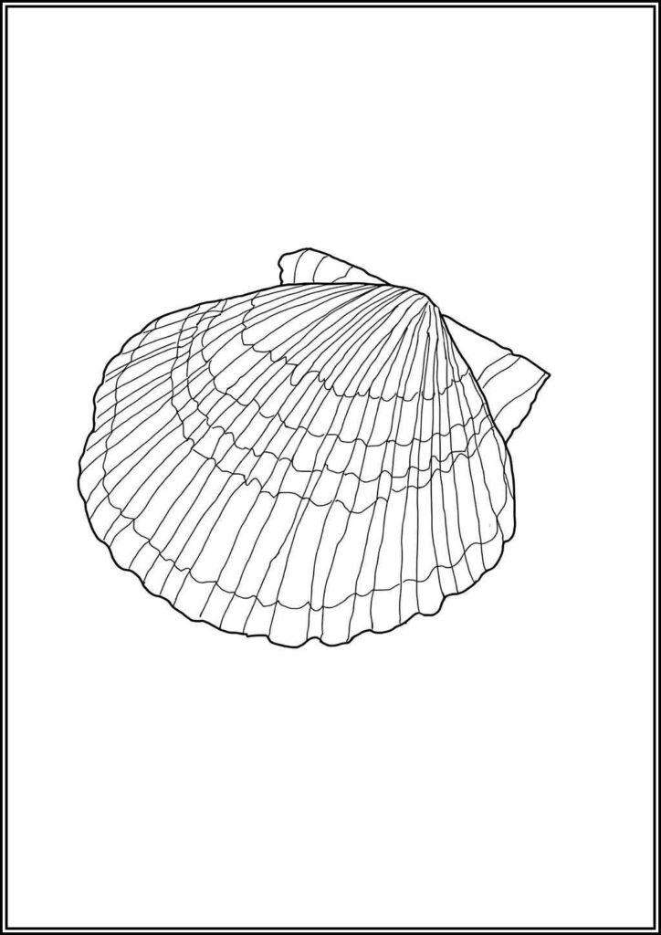 Kolorowanki Muszla Do Druku Za Darmo W Pdf