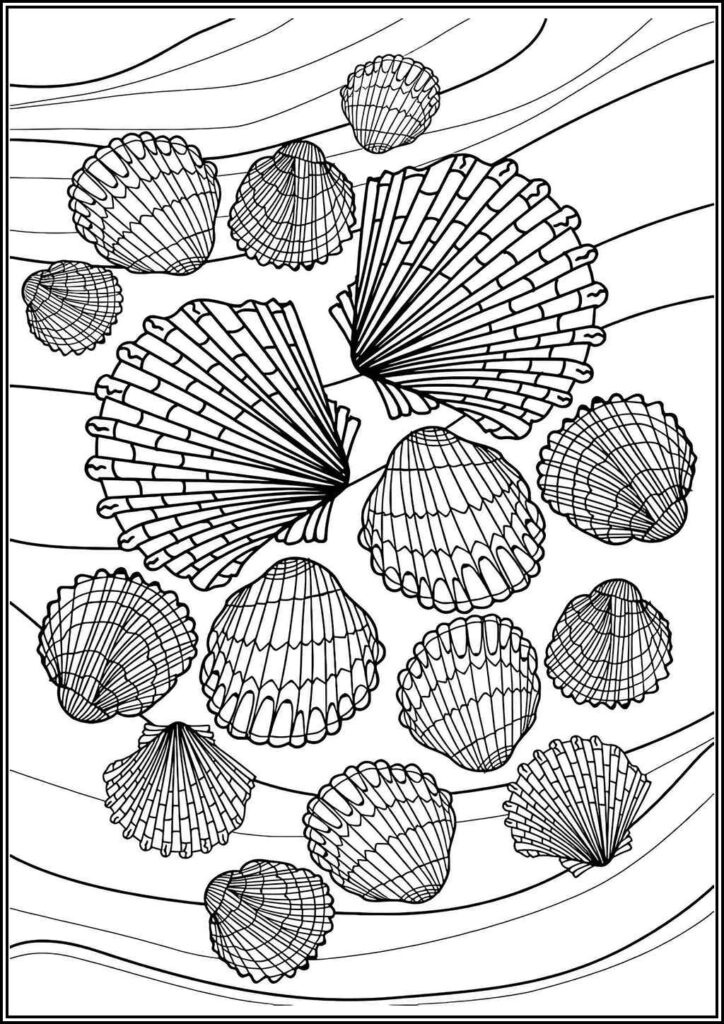 Kolorowanki Muszla Do Druku Za Darmo W Pdf