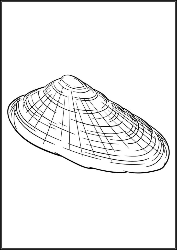 Kolorowanki Muszla Do Druku Za Darmo W Pdf