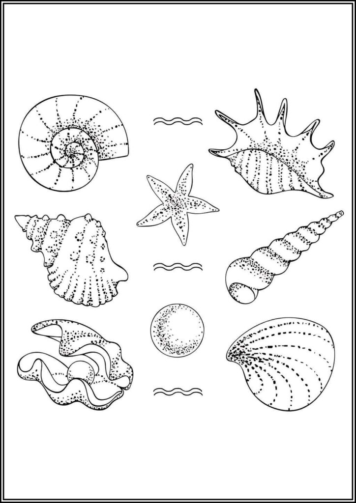 Kolorowanki Muszla Do Druku Za Darmo W Pdf