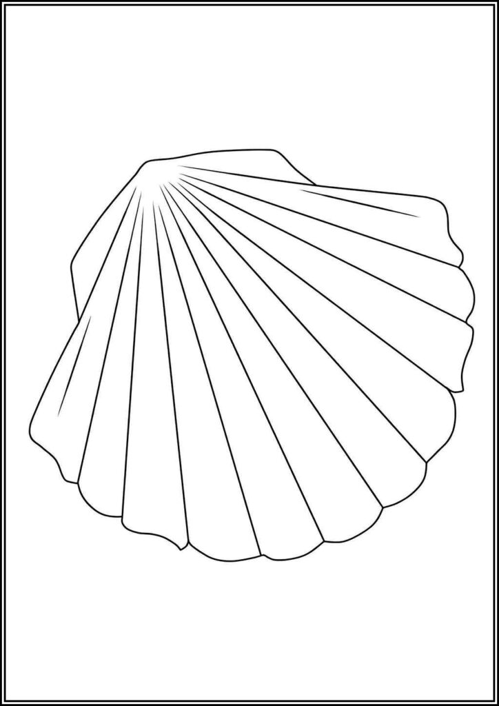 Kolorowanki Muszla Do Druku Za Darmo W Pdf
