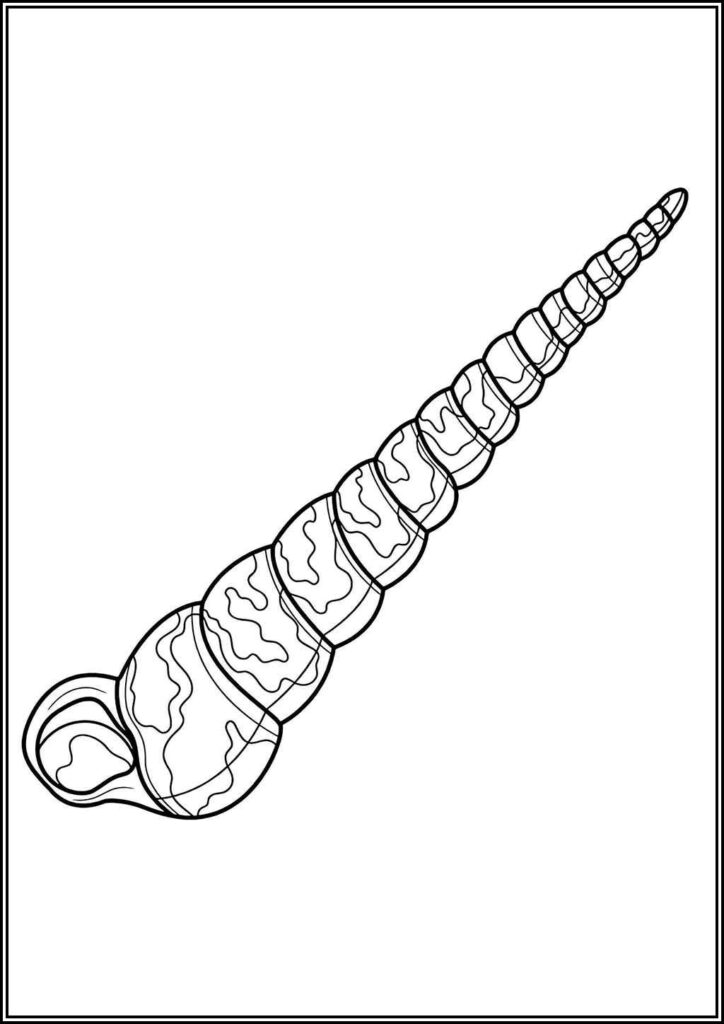 Kolorowanki Muszla Do Druku Za Darmo W Pdf