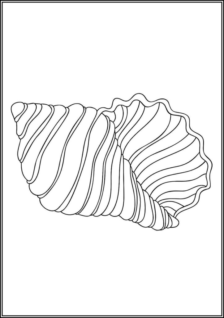 Kolorowanki Muszla Do Druku Za Darmo W Pdf