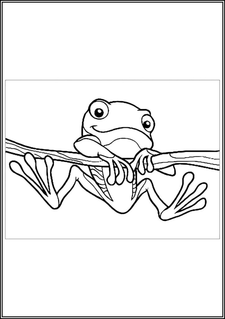 Kolorowanki Żaba Do Druku Za Darmo W Pdf