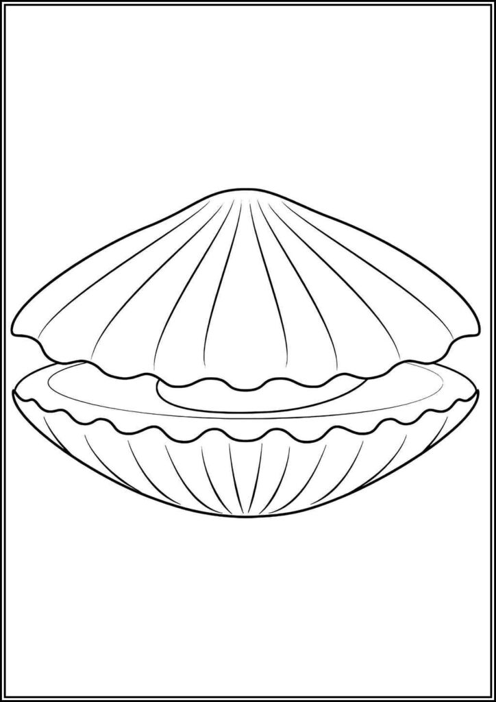 Kolorowanki Muszla Do Druku Za Darmo W Pdf