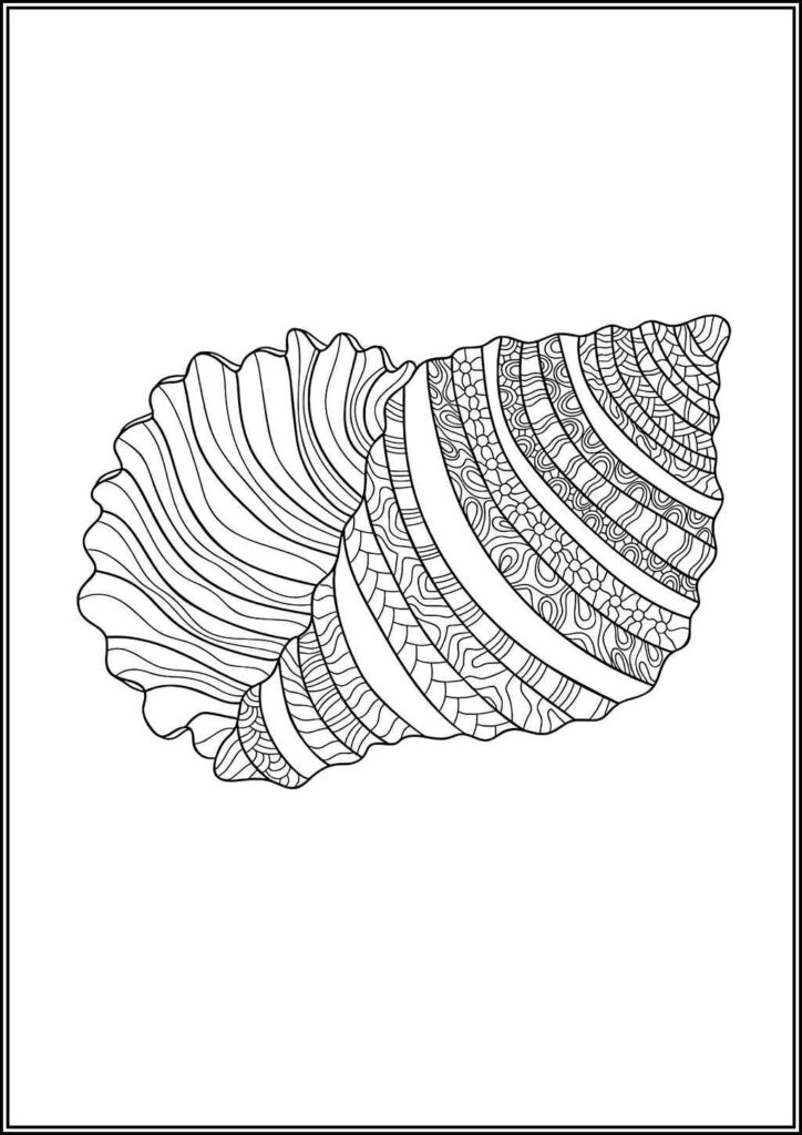 Kolorowanki Muszla Do Druku Za Darmo W Pdf