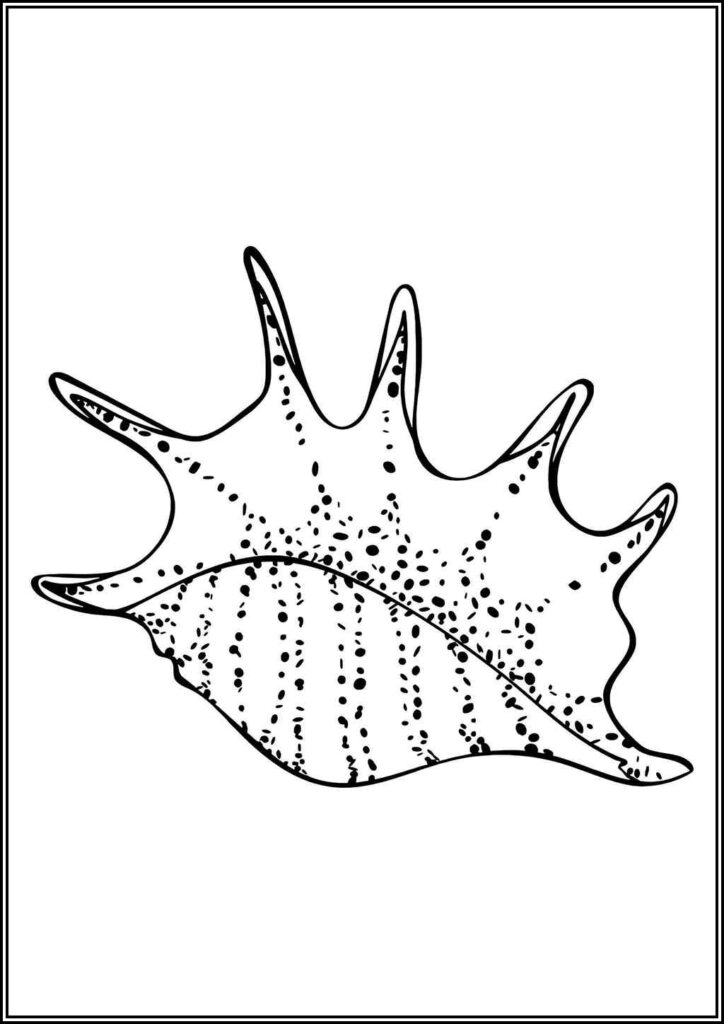 Kolorowanki Muszla Do Druku Za Darmo W Pdf